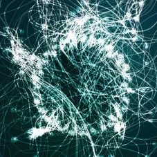 Intelligenza artificiale: la padovana Audio Innova trionfa al Cannes Neurons